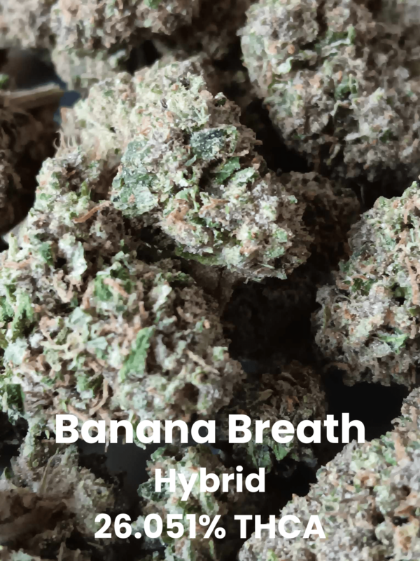 Banana Breath Hybrid 26.051% THCA (1) Banana Breath THCA Flower