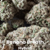 Banana Breath THCA Flower