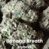 Banana Breath THCA Flower