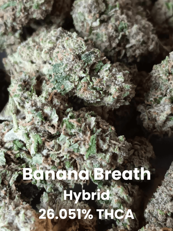 Banana Breath Hybrid 26.051% THCA (2) Banana Breath THCA Flower