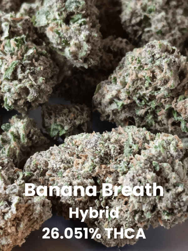 Banana Breath Hybrid 26.051% THCA Banana Breath THCA Flower