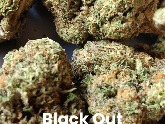 Black Out THCA Flower