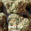 Black Out THCA Flower