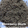 Blackberry Skunk THCA Ground Flower