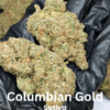 Columbian Gold THCA Flower