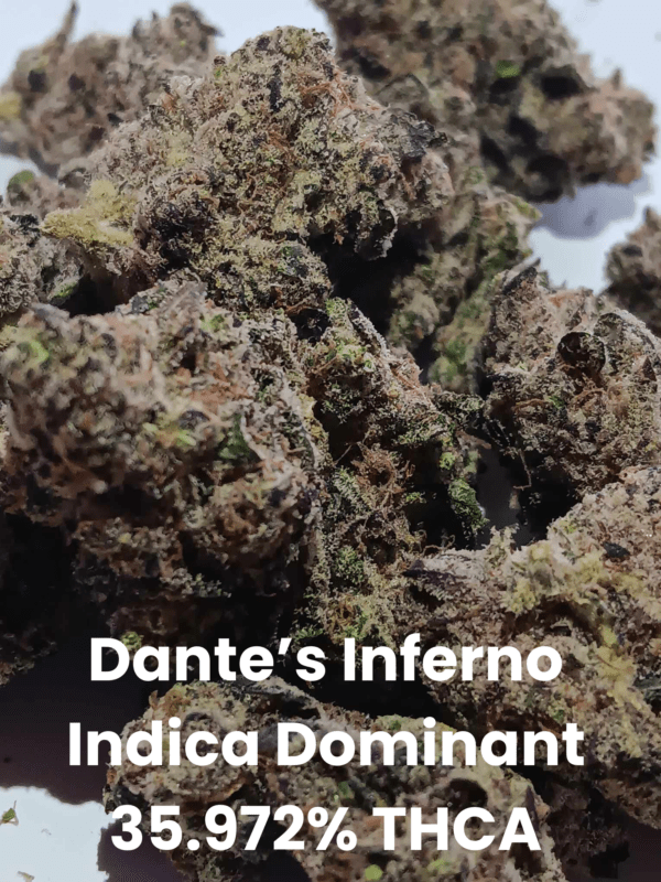 Dante's Inferno THCA Flower