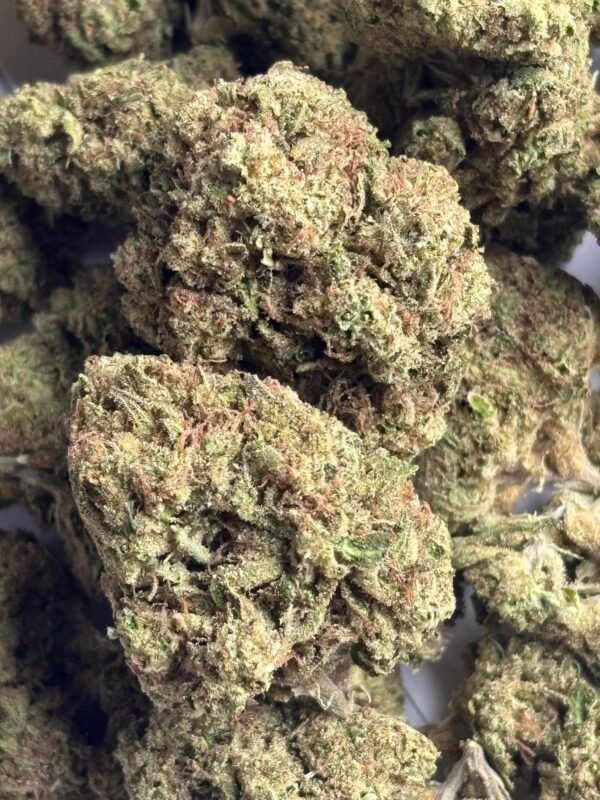 Detroit Runtz Pics (2) Detroit Runtz THCA Flower