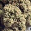 Detroit Runtz THCA Flower