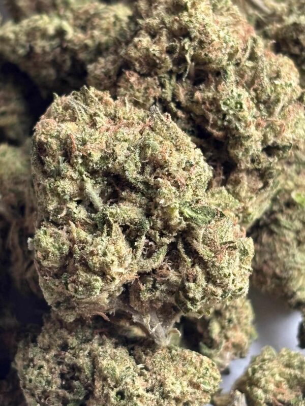 Detroit Runtz Pics (3) Detroit Runtz THCA Flower