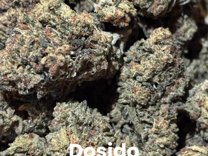 Dosido THCA Flower