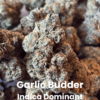 Garlic Budder THCA Flower