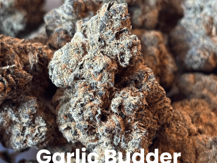 Garlic Budder THCA Flower