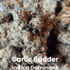 Garlic Budder THCA Flower