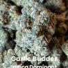 Garlic Budder THCA Flower