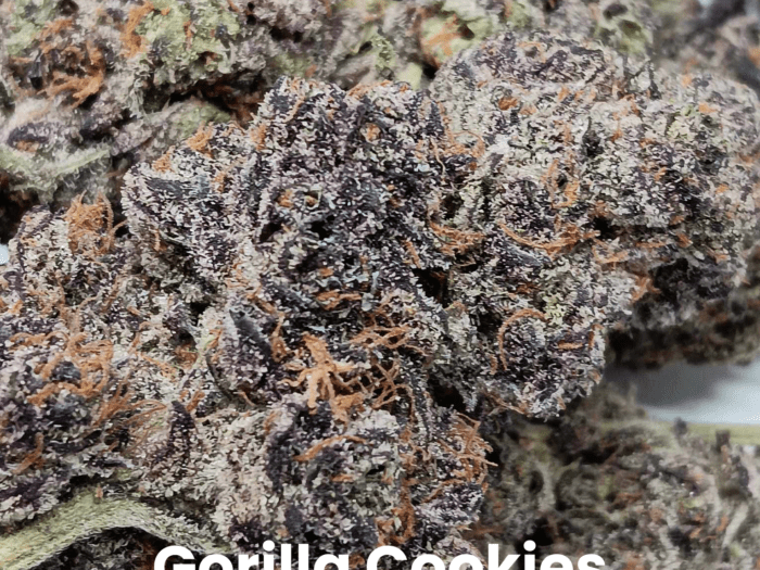 Gorilla Cookies THCA Flower