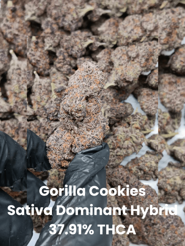 Gorilla Cookies Pics Edited (4) Gorilla Cookies THCA Flower