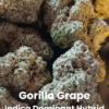 Gorilla Grape THCA Flower