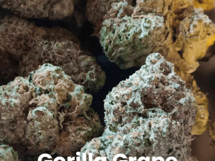 Gorilla Grape THCA Flower