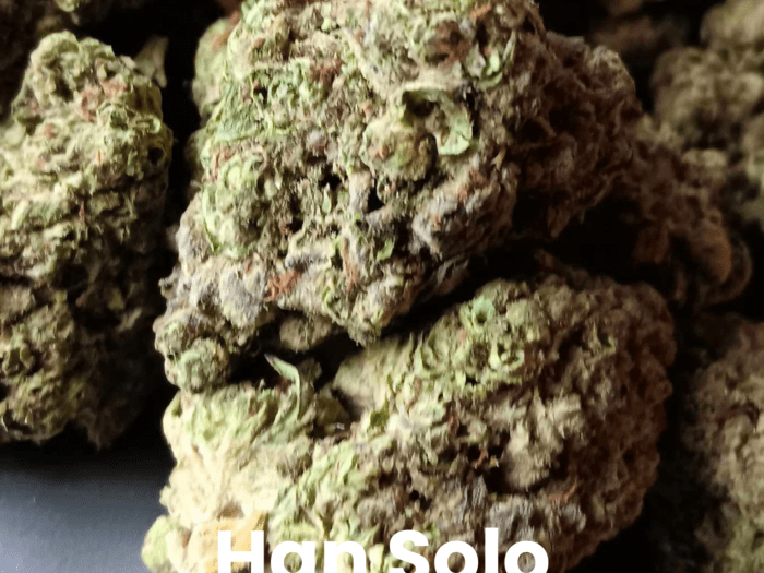 Han Solo THCA Flower