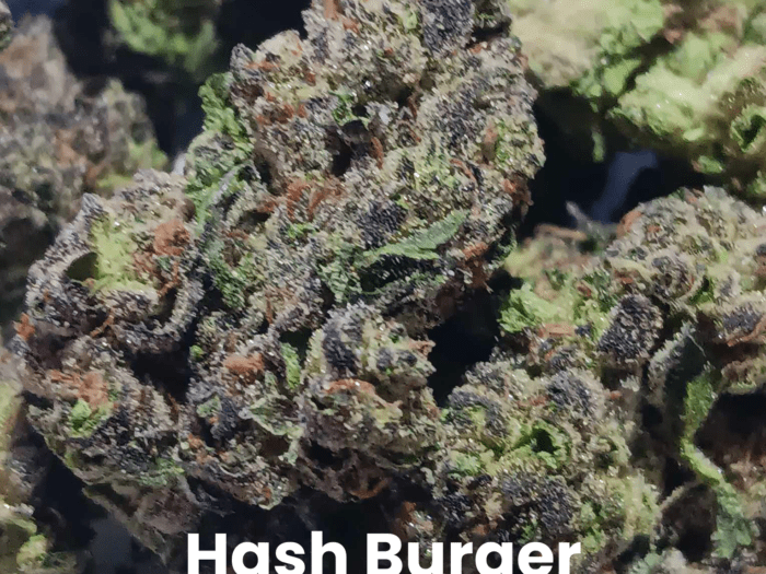 Hash Burger THCA Flower