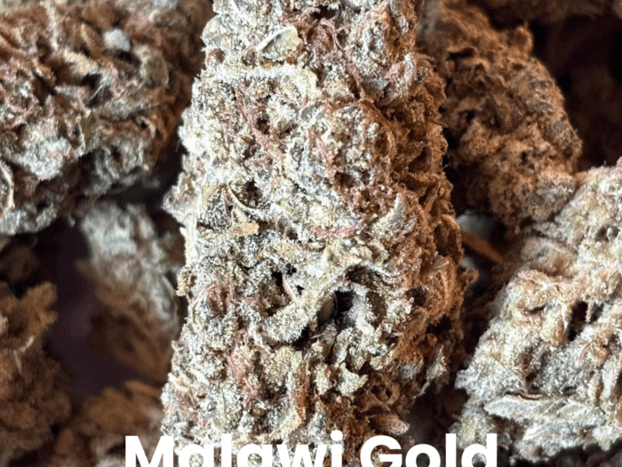 Malawi Gold THCA Flower