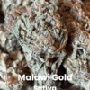 Malawi Gold THCA Flower