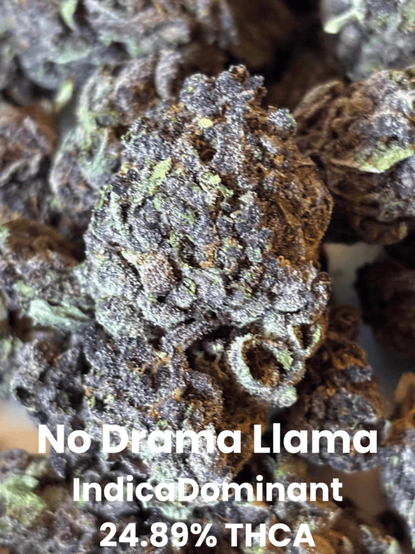 No Drama Llama THCA Flower