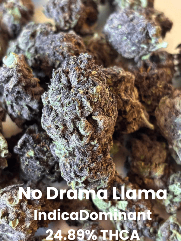 No Drama Llama THCA Flower