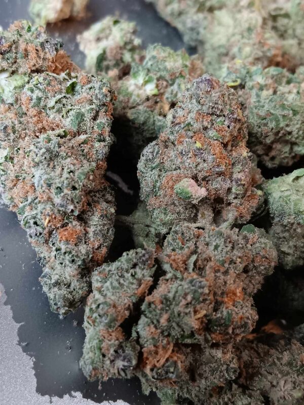 Peaches and Cream Original Pics (2) Peaches and CreamTHCA Flower