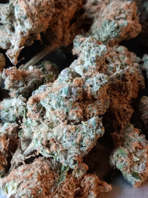 Peaches and Cream Original Pics (3) Peaches and CreamTHCA Flower