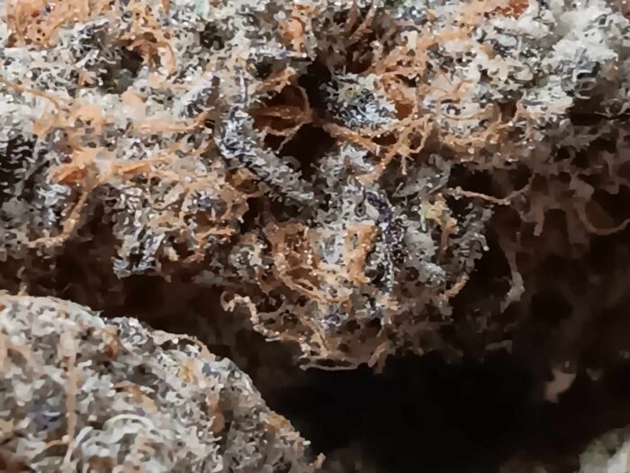 PB & J THCA Flower