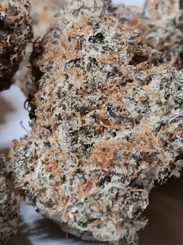 Peanut Butter and Jelly Original Pics (4) PB & J THCA Flower