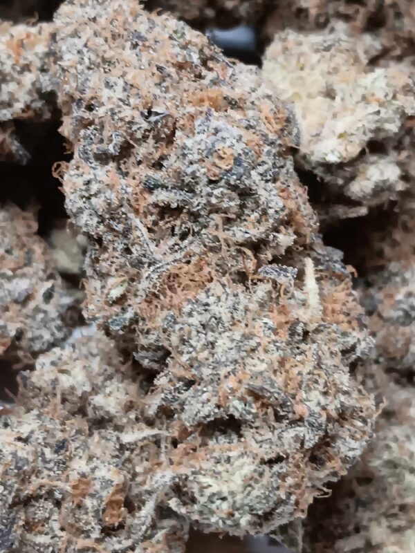 Peanut Butter and Jelly Original Pics (5) PB & J THCA Flower