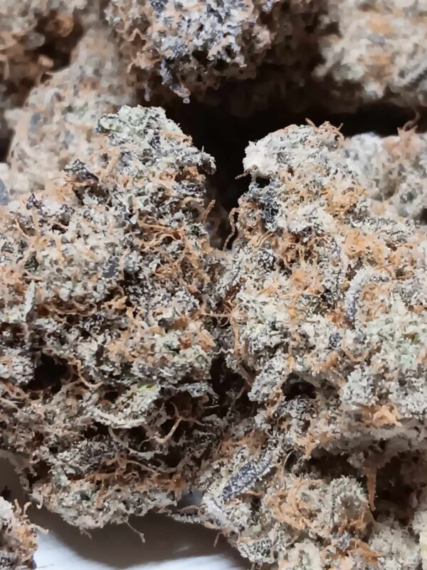 Peanut Butter and Jelly Original Pics (6) PB & J THCA Flower