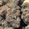 Sour Skunk THCA Flower