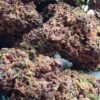 Grand Daddy Purple THCA Flower