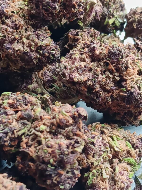 Grand Daddy Purp 2025 Pics (1) Grand Daddy Purple THCA Flower