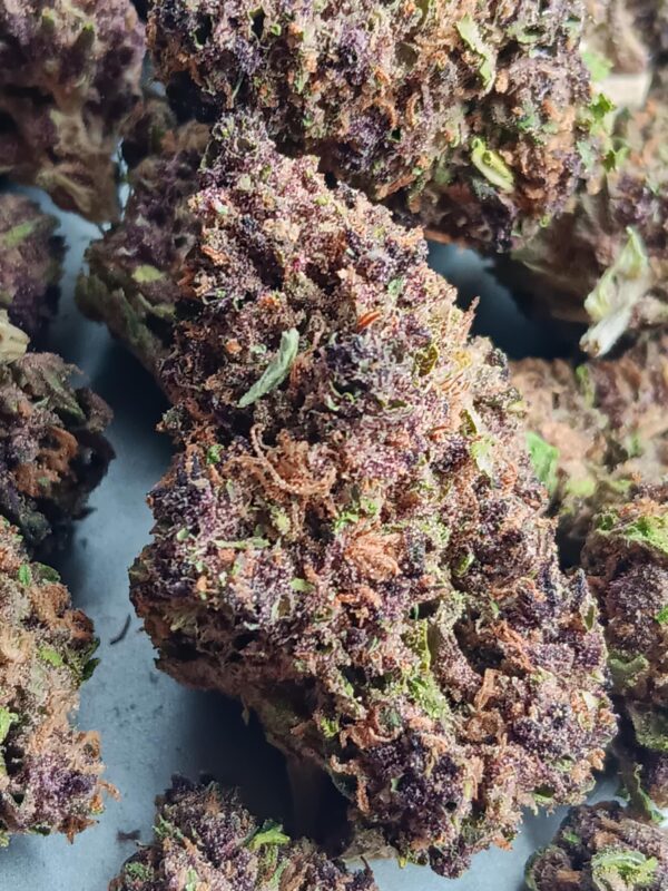 Grand Daddy Purp 2025 Pics (2) Grand Daddy Purple THCA Flower