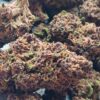 Grand Daddy Purple THCA Flower