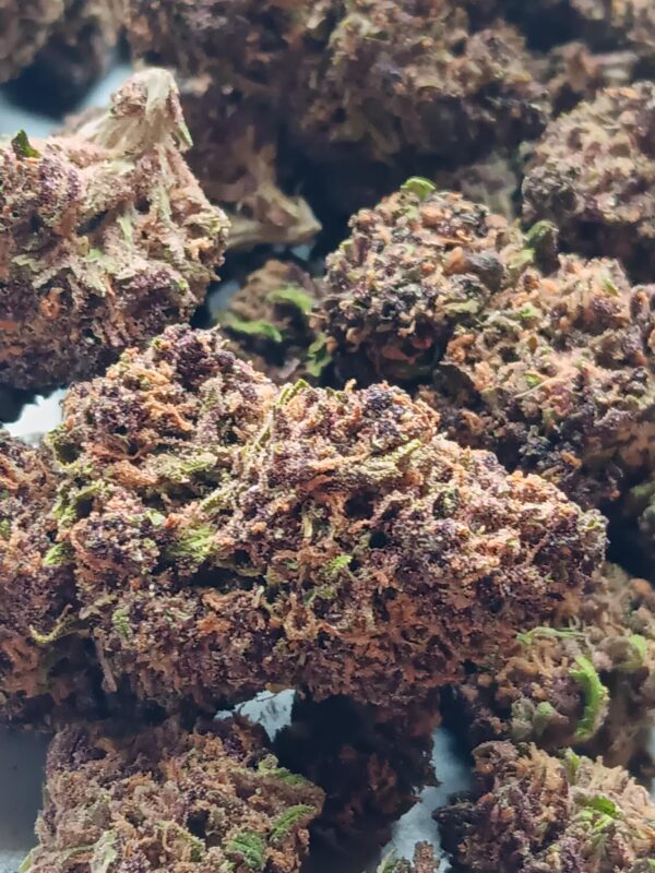 Grand Daddy Purp 2025 Pics (3) Grand Daddy Purple THCA Flower