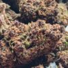 Grand Daddy Purple THCA Flower