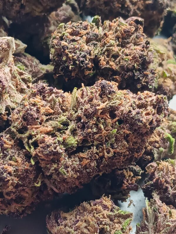 Grand Daddy Purp 2025 Pics (4) Grand Daddy Purple THCA Flower