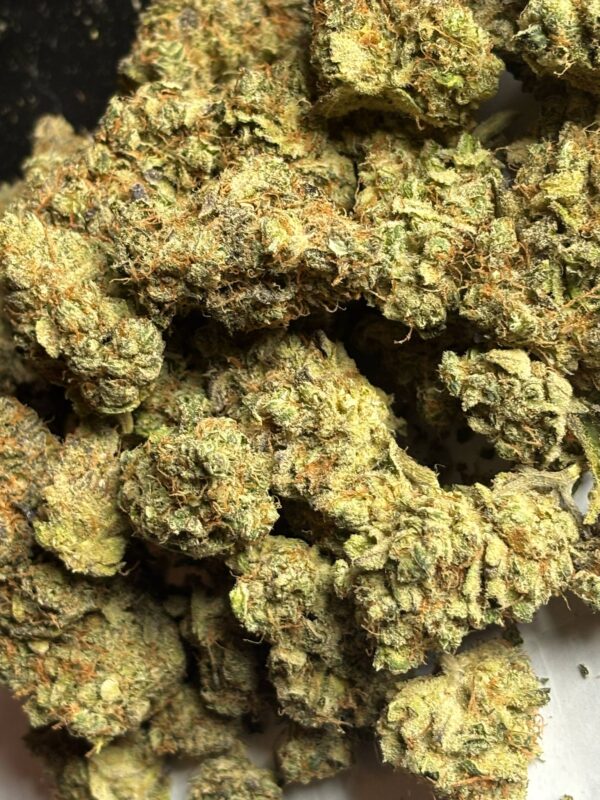 Jack Herer Pics (1) Jack Herer THCA Flower