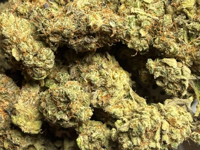 Jack Herer THCA Flower
