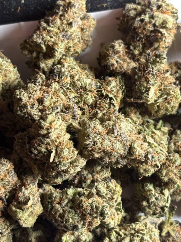 Jack Herer Pics (3) Jack Herer THCA Flower