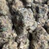 Laser Fuel THCA Flower