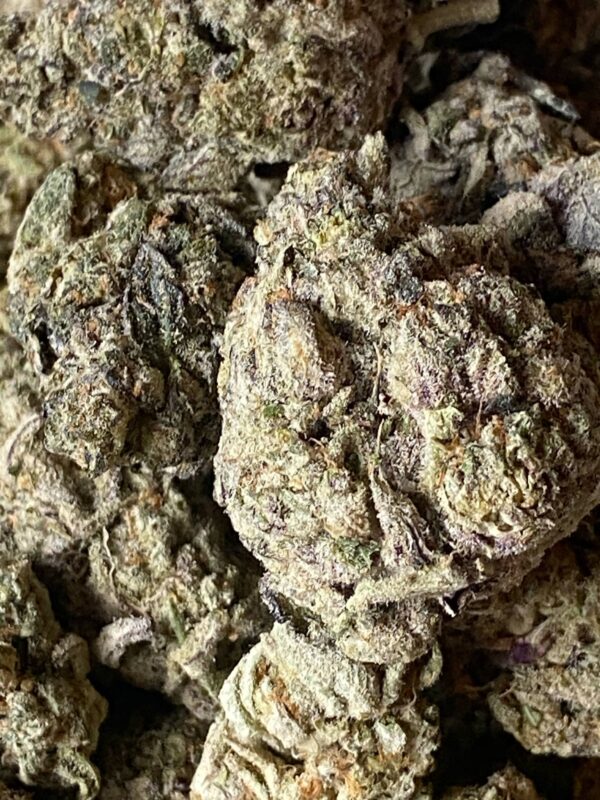 Panama Red #2 (1) Panama Red #2 THCA Flower