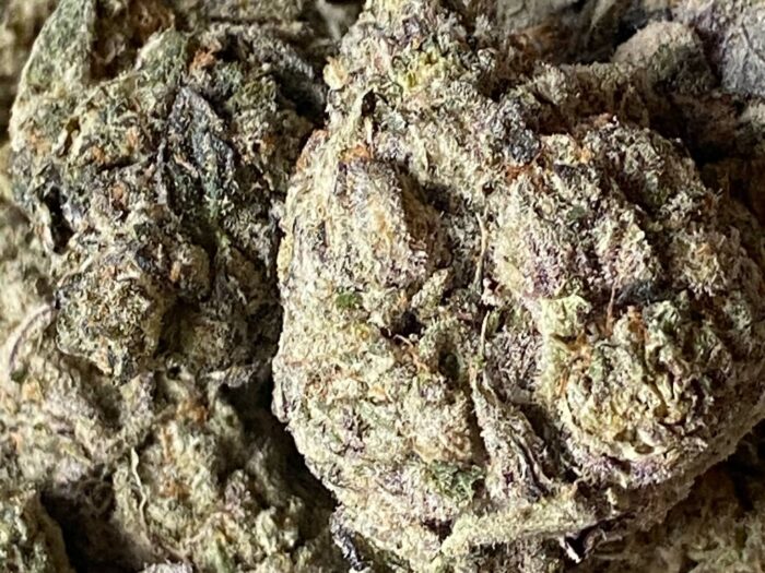 Panama Red #2 THCA Flower