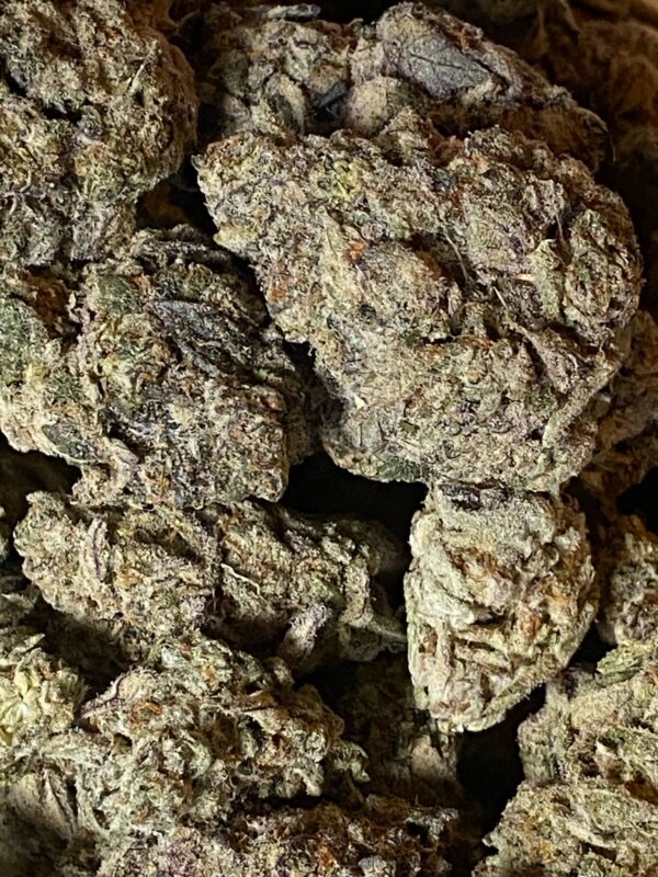 Panama Red #2 (3) Panama Red #2 THCA Flower