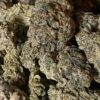 Panama Red #2 THCA Flower